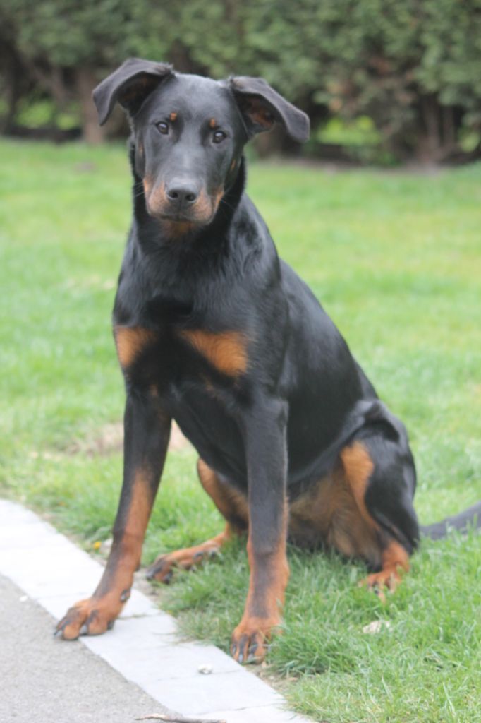 Du Quartier De Thiou Oria