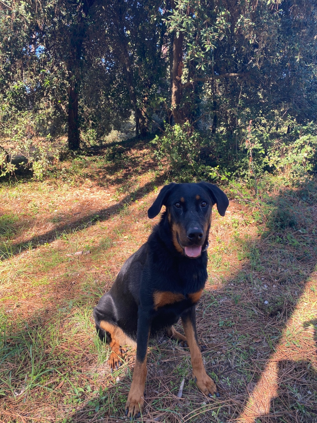 Urarii Du Quartier De Thiou