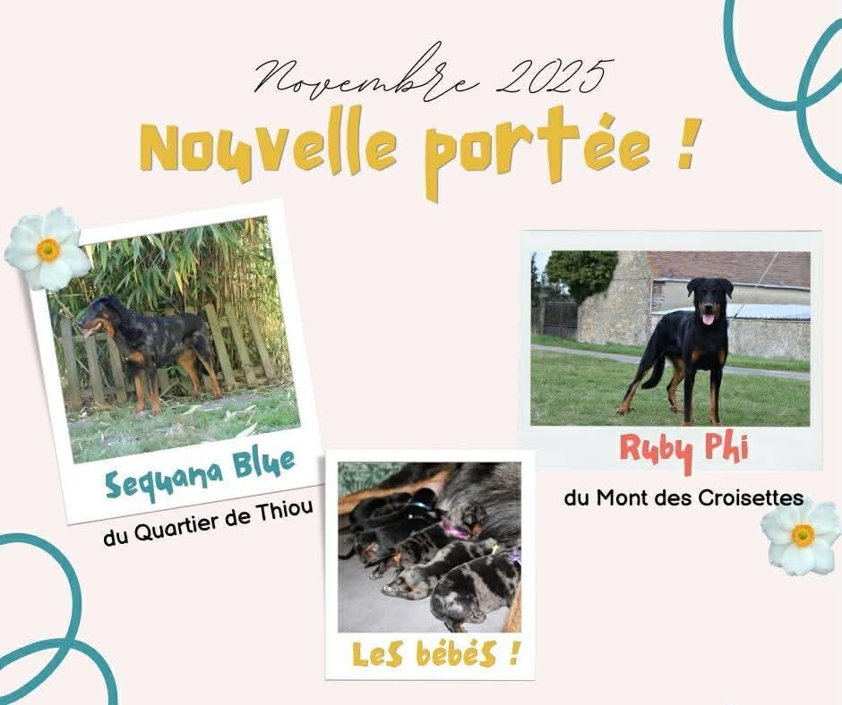 Réservation en cours